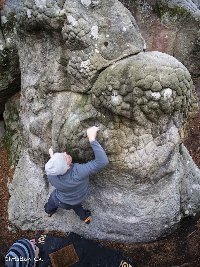 Variante Bleue teigneuse