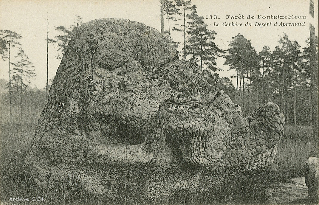 Cerbere du Desert Apremont