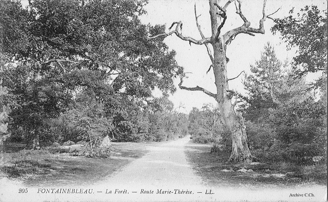 Route Marie Thérèse