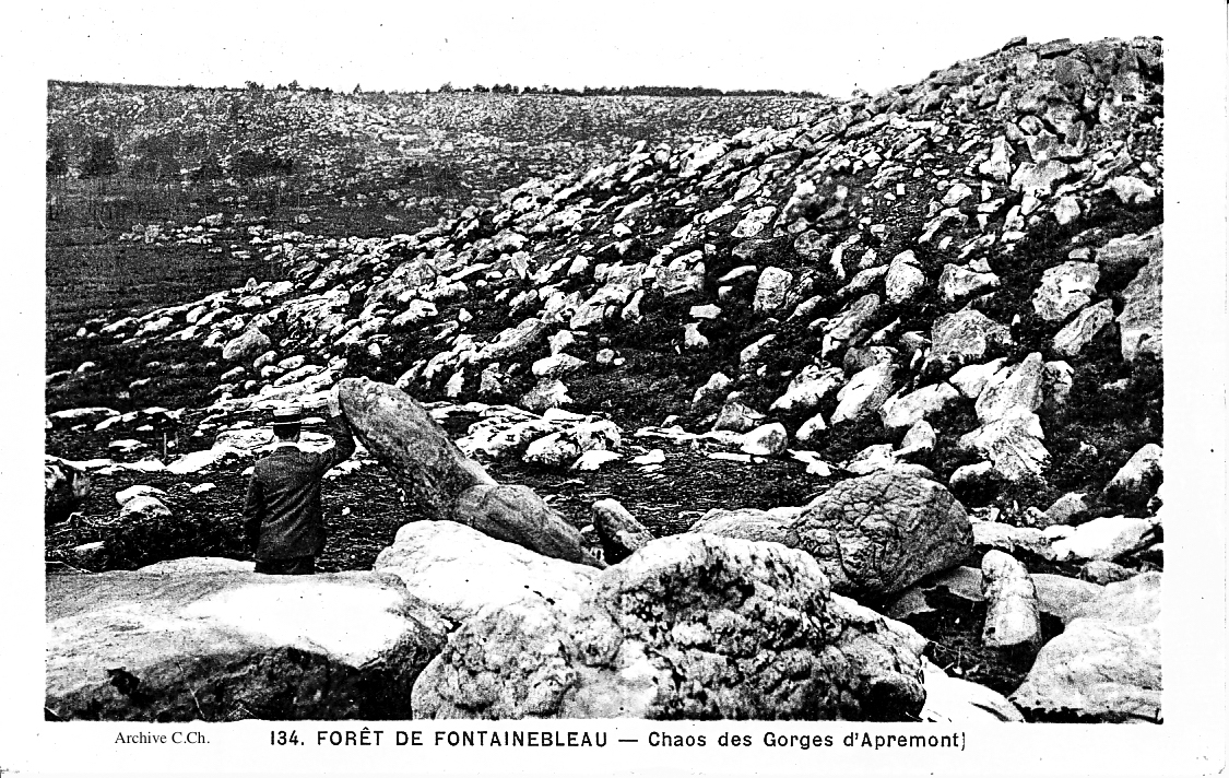 Chaos des Gorges d'Apremont