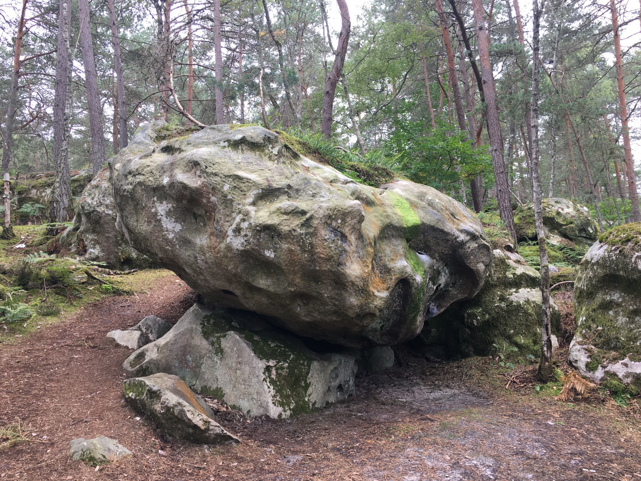 Bois-des-Hauts-de-Milly