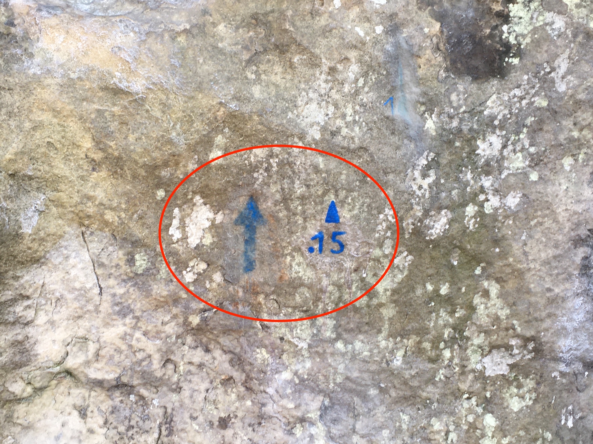 L'important est de peindre