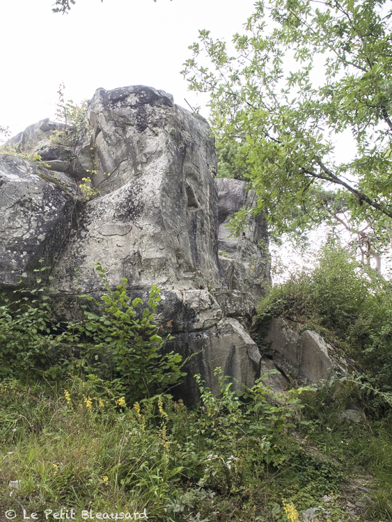 2021 villeneuve sur auvers 10