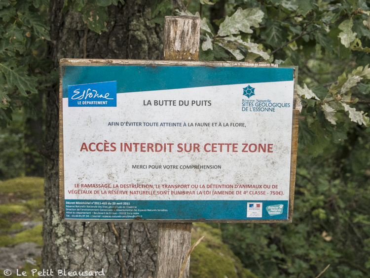 2021 villeneuve sur auvers 7